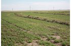 Property photo 100 - LAND AUCTION, 3255+/- Acres offered in 13 Tracts